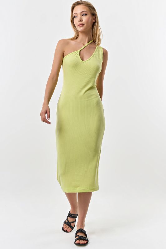 Salad jersey fitted silhouette dress