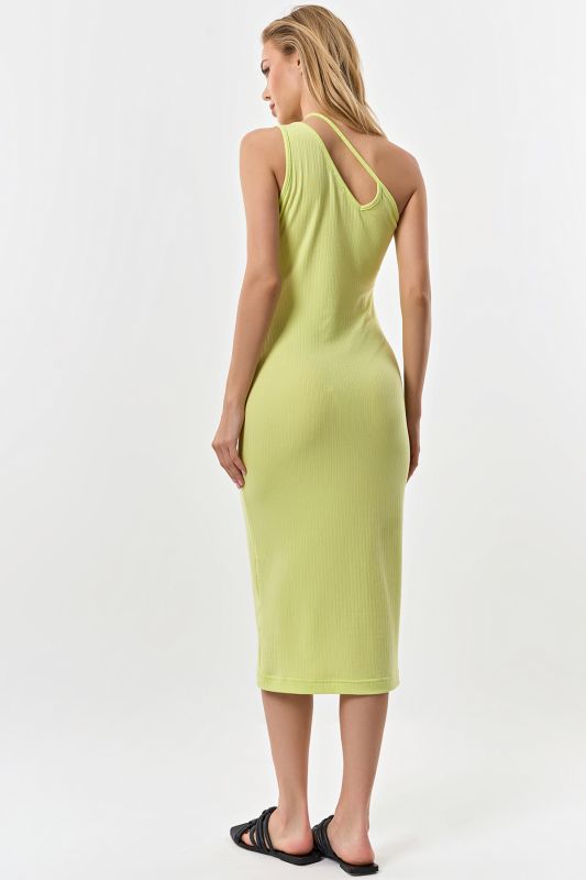 Salad jersey fitted silhouette dress