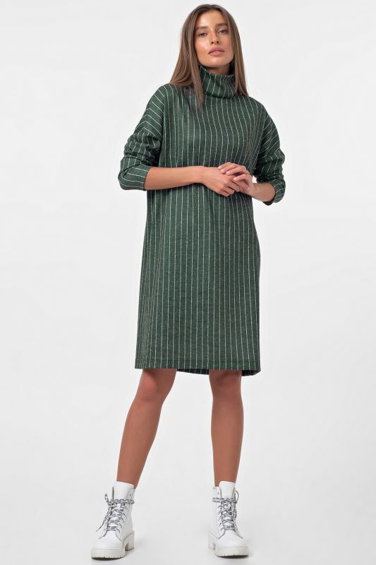 Striped Straight Neck Oversize Dress on Green