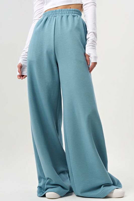 Wide futera pants for tall blue