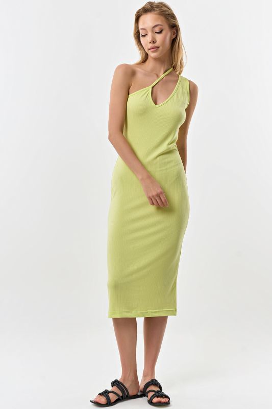 Salad jersey fitted silhouette dress