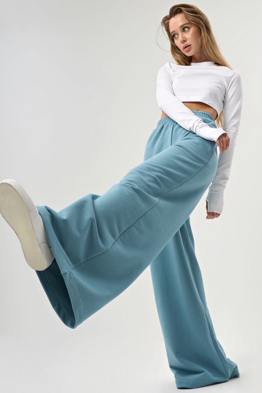 Wide futera pants for tall blue