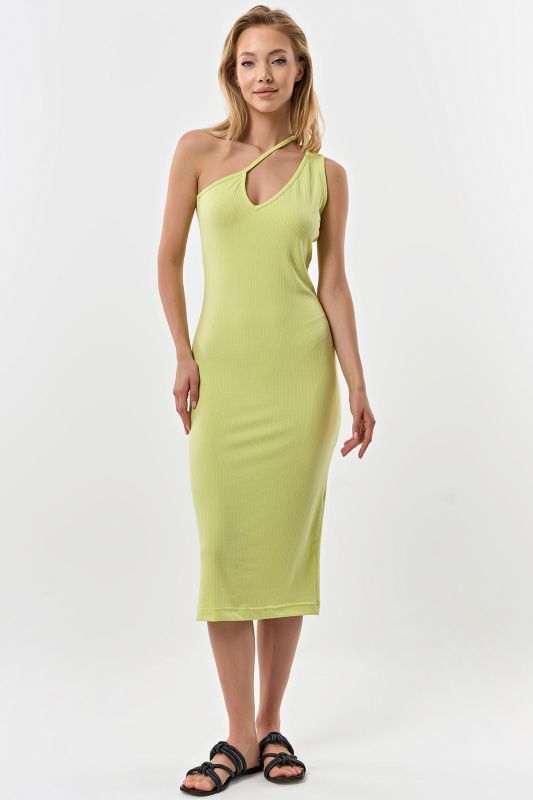 Salad jersey fitted silhouette dress